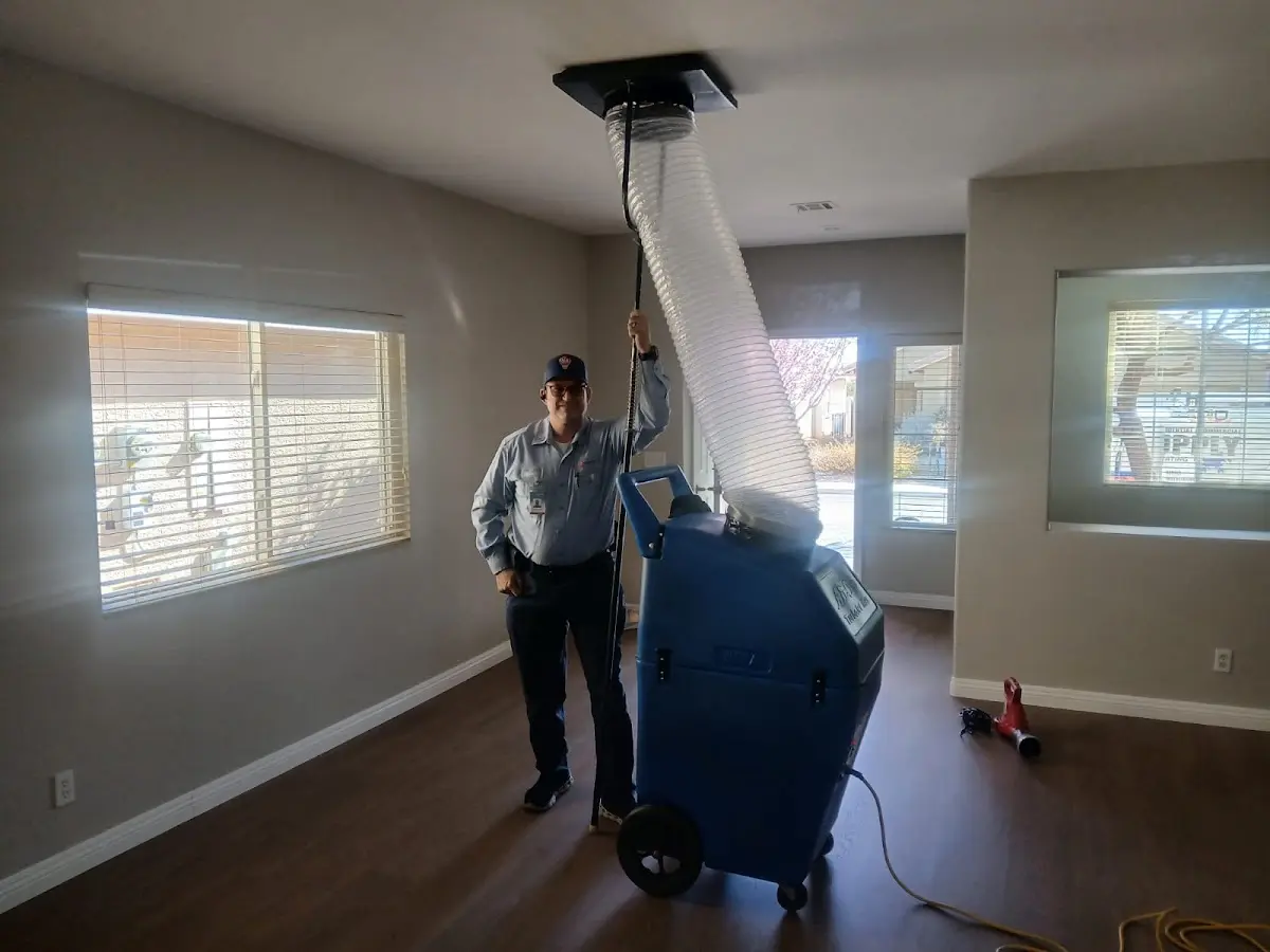Professional Dryer Vent Cleaning work inside a Dripping Springs home